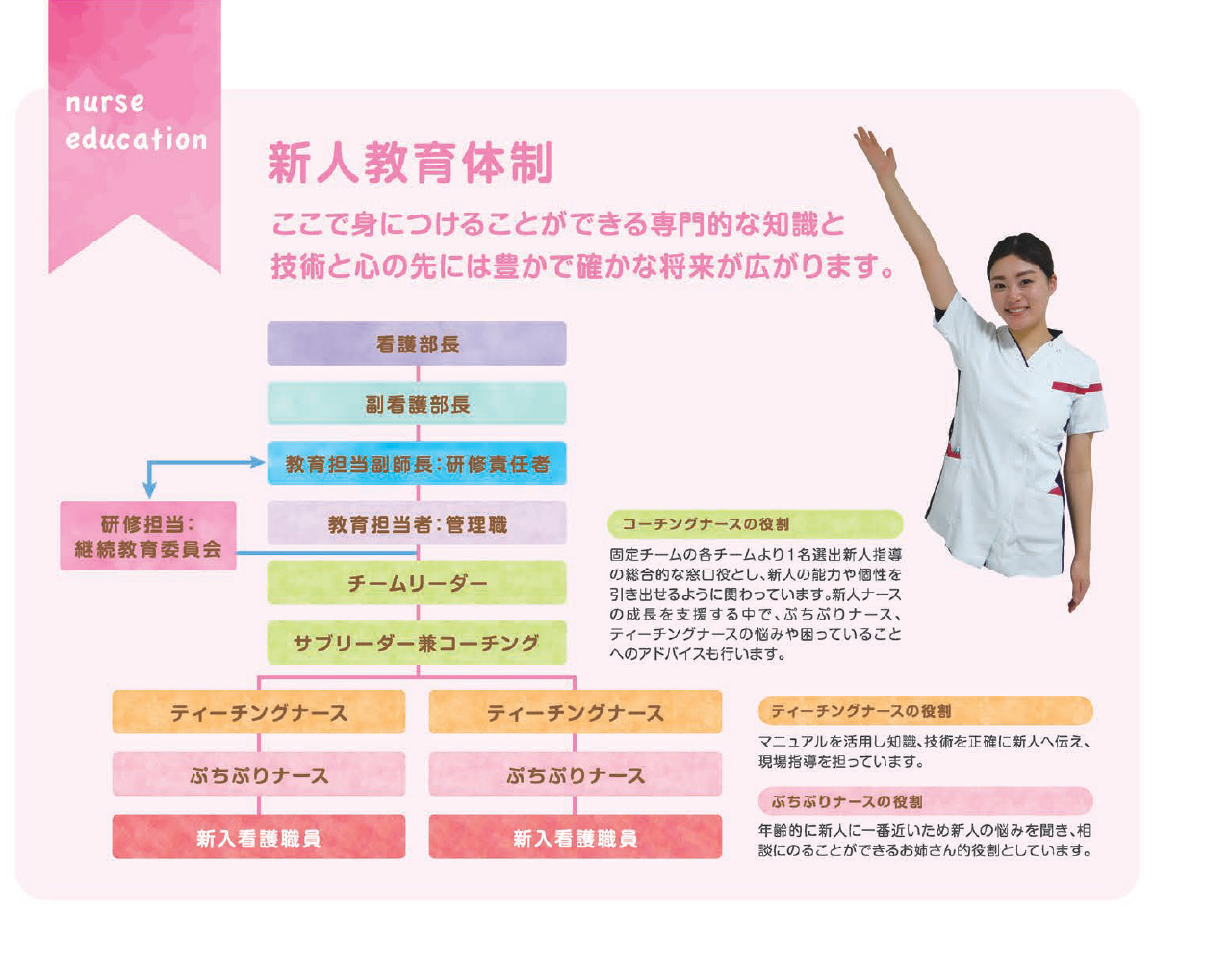 新人育成の組織体制